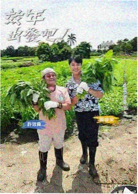 音乐聚会综艺海报